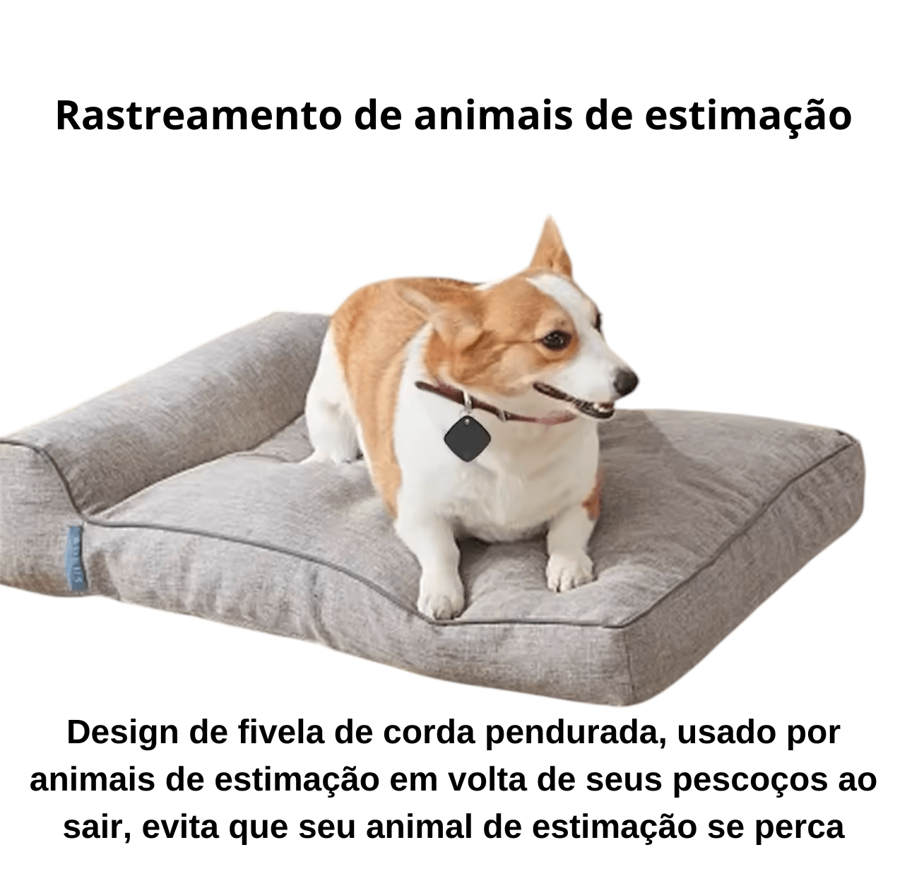 TagSafe Pro + E-book