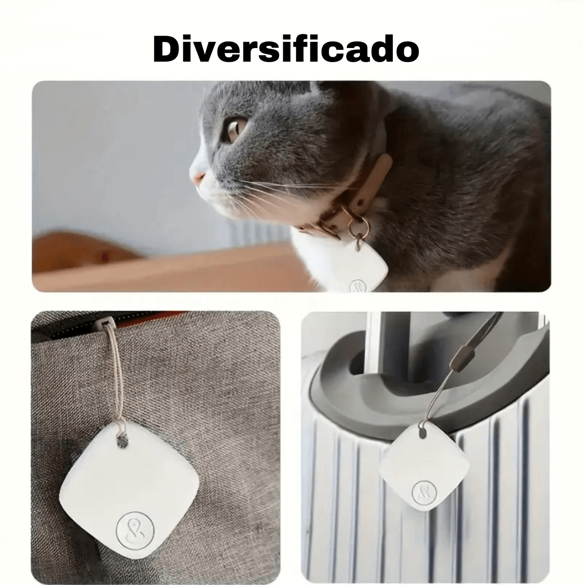 TagSafe Pro + E-book